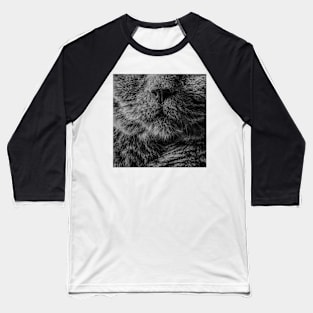 Persian cat Baseball T-Shirt